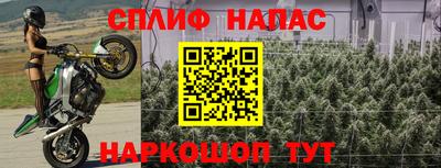 сатива Рязань