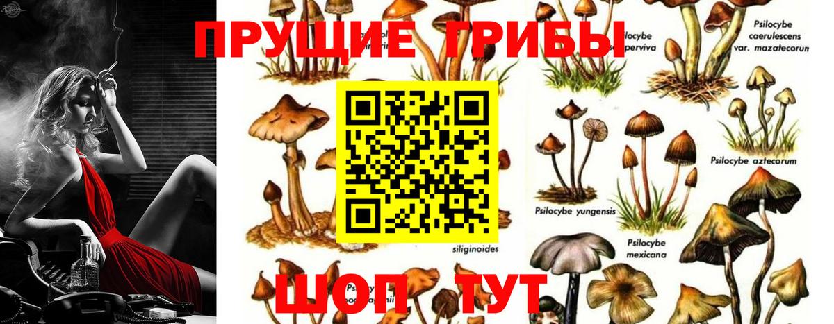 Псилоцибиновые грибы Magic Shrooms Южно-Сахалинск